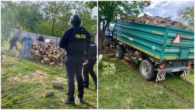  Buhuși: Razii la domicilile hoților de lemne care au sustras și camerele de supraveghere din pădurea Ciolpani